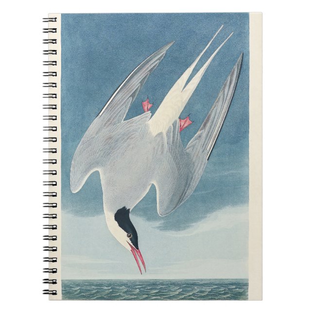 Vintage Audubon Arctic Tern Coastal Bird Art Notebook (Front)