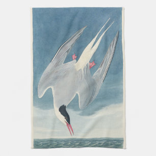 Vintage Audubon Arctic Tern Coastal Bird Art Tea Towel