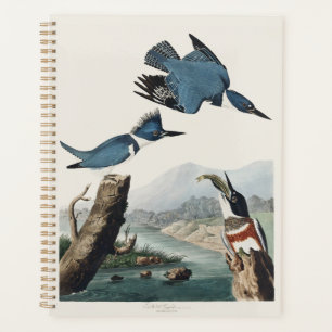 Vintage Audubon Belted Kingfisher Bird Art Planner