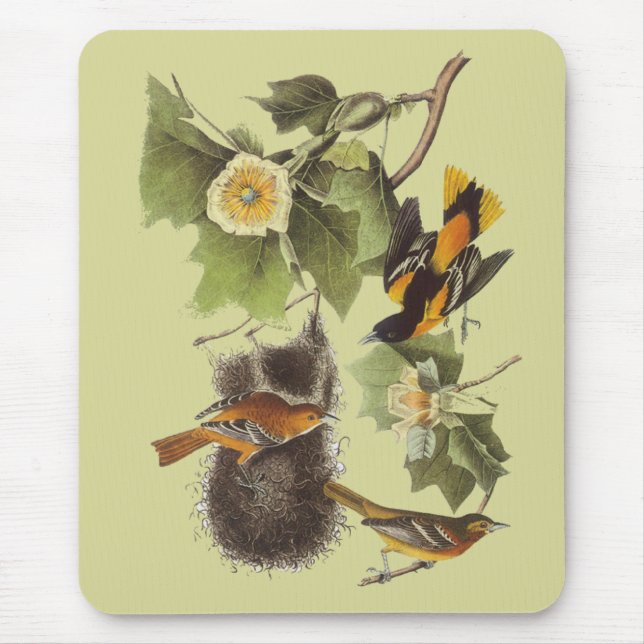 Vintage Audubon Birds Troupial Orioles Mousepad (Front)