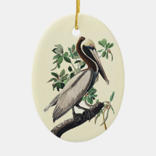 Vintage Audubon Brown Pelican Coastal Bird Art Ceramic Ornament