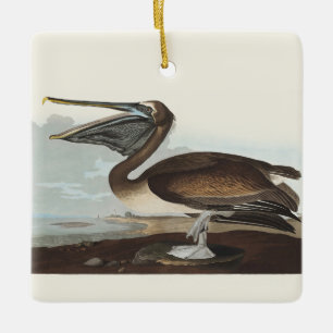 Vintage Audubon Brown Pelican Coastal Bird Art Ceramic Ornament