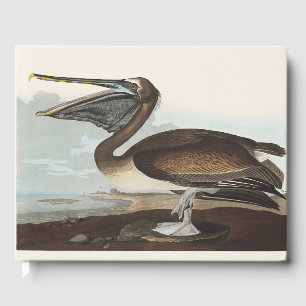 Vintage Audubon Brown Pelican Coastal Bird Art Guest Book