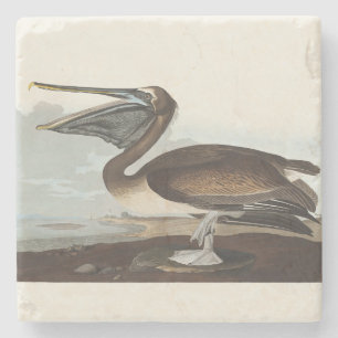 Vintage Audubon Brown Pelican Coastal Bird Art Stone Coaster