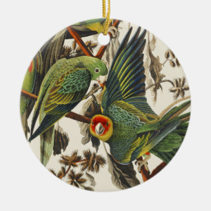 Vintage Audubon Carolina Parakeet Bird Art Ceramic Ornament