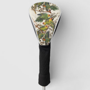 Vintage Audubon Carolina Parakeet Bird Art Golf Head Cover