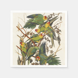 Vintage Audubon Carolina Parakeet Bird Art Napkin