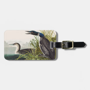 Vintage Audubon Common Loon Bird Nature Art Luggage Tag
