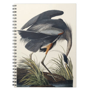 Vintage Audubon Great Blue Heron Bird Nature Art Notebook