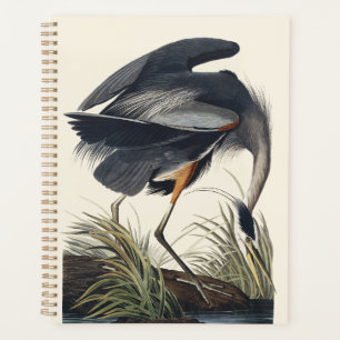 Vintage Audubon Great Blue Heron Bird Nature Art Planner