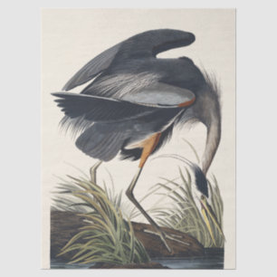 Vintage Audubon Great Blue Heron Bird Nature Art Tissue Paper