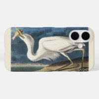 Vintage Audubon Great White Heron Bird Art