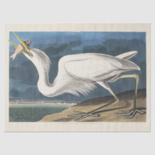 Vintage Audubon Great White Heron Bird Art Tissue Paper
