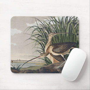 Vintage Audubon Long-billed Curlew Bird Art Mouse Pad