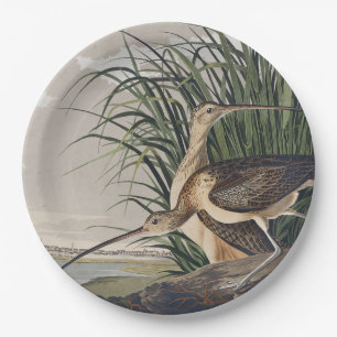 Vintage Audubon Long-billed Curlew Bird Art Paper Plate