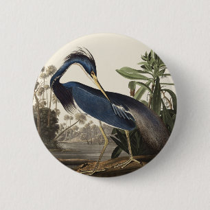 Vintage Audubon Louisiana Heron Bird Art 6 Cm Round Badge