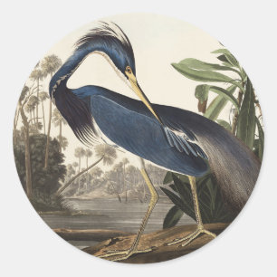 Vintage Audubon Louisiana Heron Bird Art Classic Round Sticker