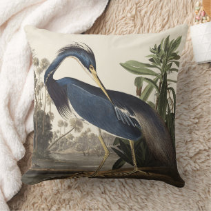 Vintage Audubon Louisiana Heron Bird Art Cushion