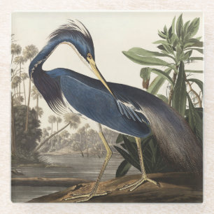 Vintage Audubon Louisiana Heron Bird Art Glass Coaster
