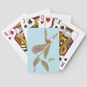 Vintage Audubon Magnolia Warbler Bird Playing Cards
