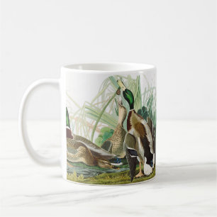Vintage Audubon Mallard Duck Wildlife Art Coffee Mug