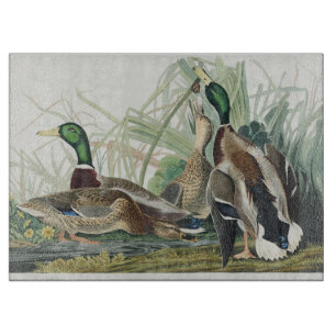 Vintage Audubon Mallard Duck Wildlife Art Cutting Board
