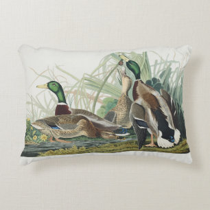 Vintage Audubon Mallard Duck Wildlife Art Decorative Cushion