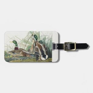 Vintage Audubon Mallard Duck Wildlife Art Luggage Tag