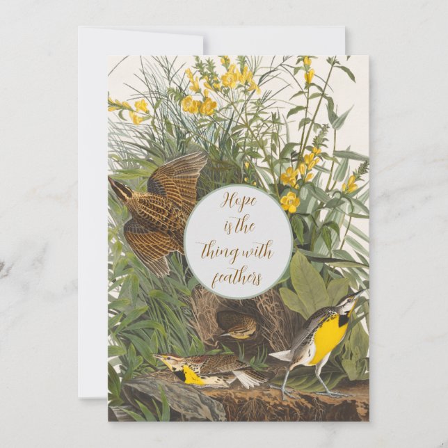 Vintage Audubon Meadowlark Print (Front)