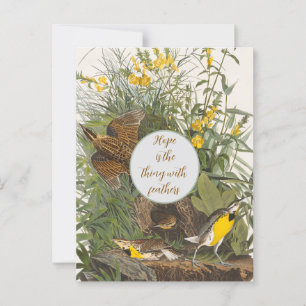 Vintage Audubon Meadowlark Print Postcard