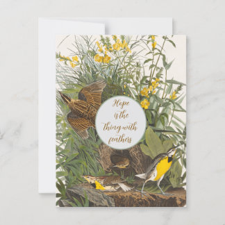 Vintage Audubon Meadowlark Print Postcard