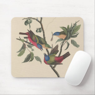 Vintage Audubon Painted Bunting Colourful Bird Art Mouse Pad