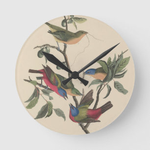 Vintage Audubon Painted Bunting Colourful Bird Art Round Clock