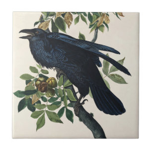 Vintage Audubon Raven Bird Nature Art Ceramic Tile