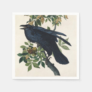Vintage Audubon Raven Bird Nature Art Napkin