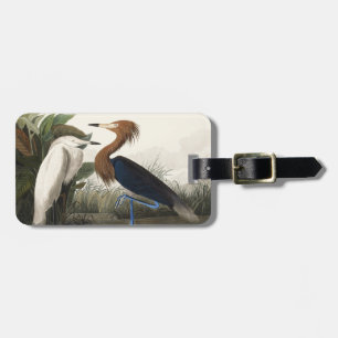 Vintage Audubon Reddish Egret Bird Art Luggage Tag