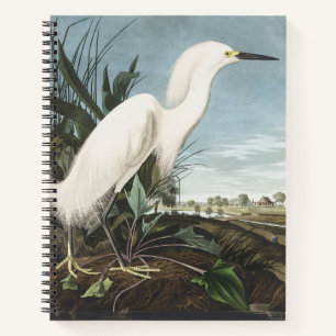 Vintage Audubon Snowy Heron White Egret Bird Art Notebook