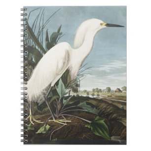 Vintage Audubon Snowy Heron White Egret Bird Art Notebook
