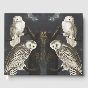 Vintage Audubon Snowy Owl Night Bird Art Guest Book