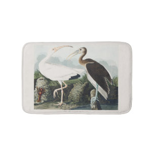 Vintage Audubon White Ibis Bird Nature Art Bath Mat