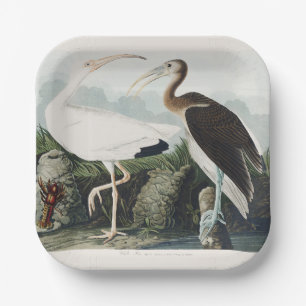 Vintage Audubon White Ibis Bird Nature Art Paper Plate