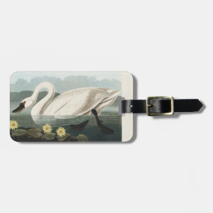 Vintage Audubon White Swan Water Lily Art Luggage Tag