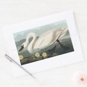 Vintage Audubon White Swan Water Lily Art Rectangular Sticker