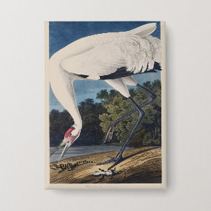 Vintage Audubon Whooping Crane Bird Nature Art