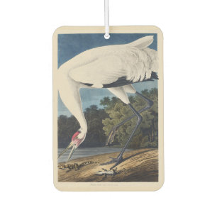Vintage Audubon Whooping Crane Bird Nature Art Car Air Freshener