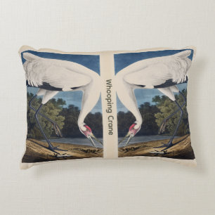 Vintage Audubon Whooping Crane Bird Nature Art Decorative Cushion