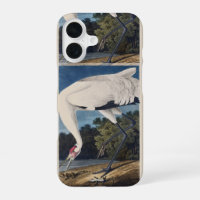 Vintage Audubon Whooping Crane Bird Nature Art