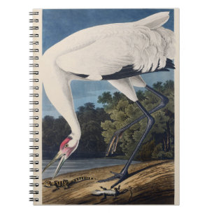 Vintage Audubon Whooping Crane Bird Nature Art Notebook