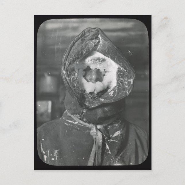 Vintage Australasian Antarctic Expedition postcard (Front)