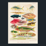 Vintage Australia Great Barrier Reef Fishes 6 Poster<br><div class="desc">Vintage Colourful Great Barrier Reef Fishes from The Great - Barrier Reef of Australia collection (1893) by William Saville-Kent. Colourful, great for marine life and reefs lovers. Shows a variety of colourful ocean fish. Can be used in Marine Science class We have a collection of 14 posters in this store.....</div>